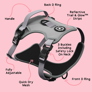 Trail & Glow® Dog Harness - The Silver Grey One.