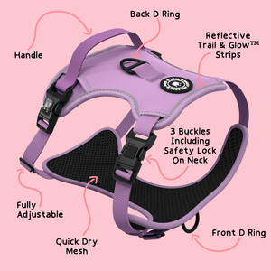 Trail & Glow® Dog Harness - The Lilac One.