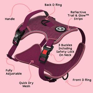 burgundy tweed dog harness