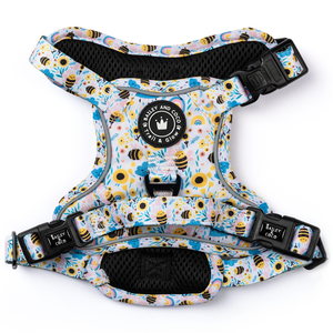 Pettorina per cani Trail & Glow® - Wanna-Bee