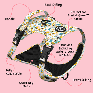 Trail & Glow® Harness Bundle Set - Wanna-Bee II