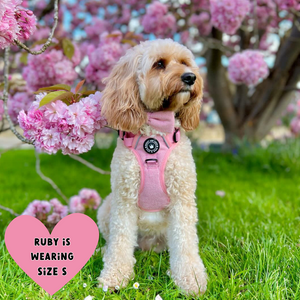 Pettorina per cani Trail & Glow® - Tweed rosa