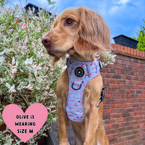 Trail & Glow® Dog Harness - Flamingo Fling