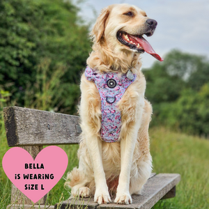 Trail & Glow® Dog Harness Bundle Set - Peony Blossom