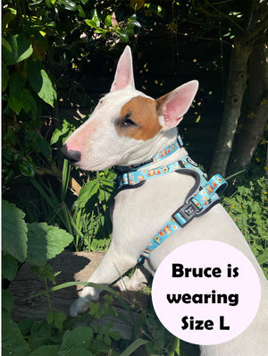 Trail & Glow® Dog Harness - All I Avo Wanted.