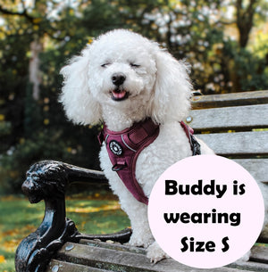 Trail & Glow® Dog Harness - Mulberry Tweed.