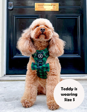 Trail & Glow® Dog Harness - Tartan Green.