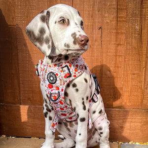 Trail & Glow® Dog Harness - Autumn Magic.