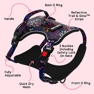 Trail & Glow® Dog Harness - Enchanted.