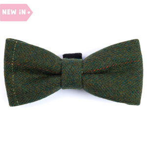 Bow Tie - Forest Tweed