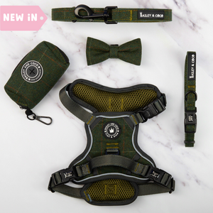 Trail & Glow® Dog Harness Bundle Set - Forest Tweed