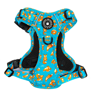 Trail & Glow® Dog Harness - Foxy Yoga