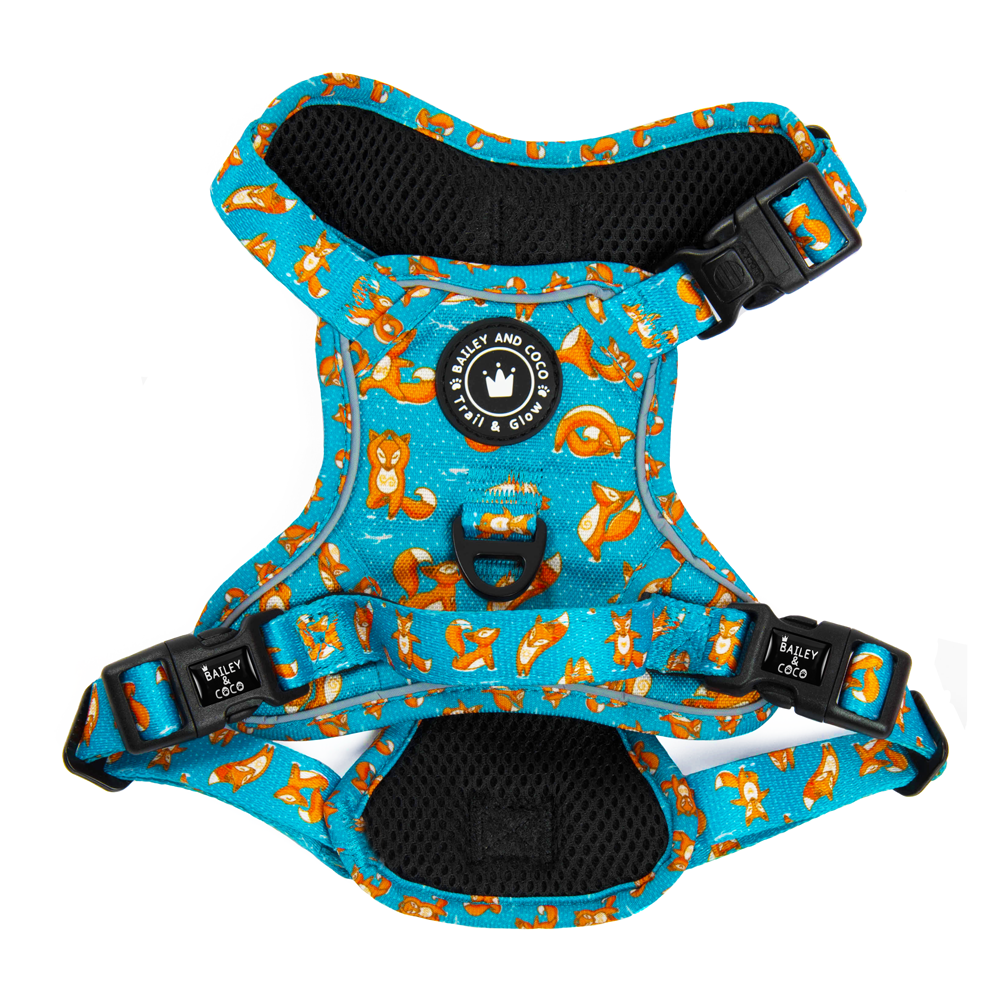 Trail & Glow® Hundegeschirr – Foxy Yoga