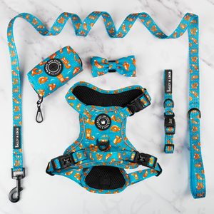 Conjunto de arnés Trail & Glow® - Foxy Yoga