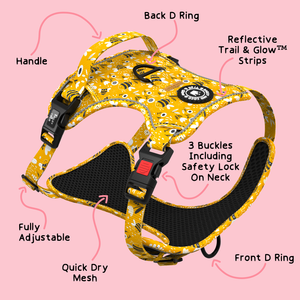 Trail & Glow® Harness Bundle Set - Wanna-Bee.