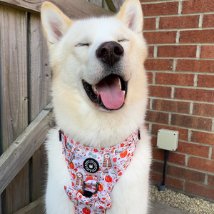 Bow Tie - Autumn Magic.