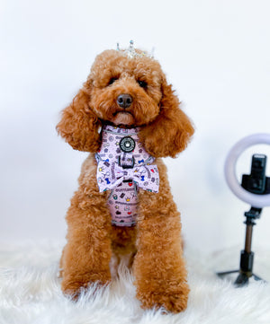 Glow Harness® and Lead Set - Pupfluencer Little Queen.