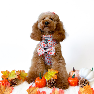 Bow Tie - Autumn Magic.