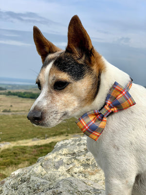 Bow Tie - Rustic Tartan.