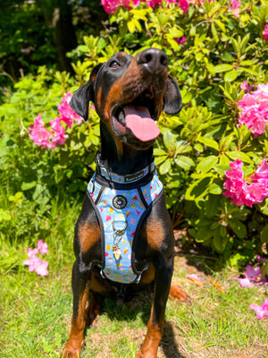 Trail & Glow® Collar - Feels Like Summer.