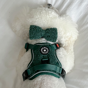 Bow Tie - Emerald Teddy.