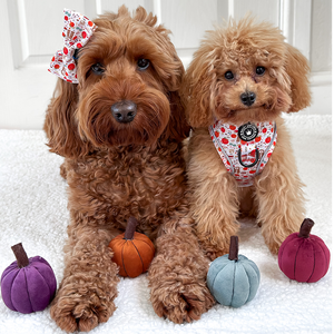 Bow Tie - Autumn Magic.