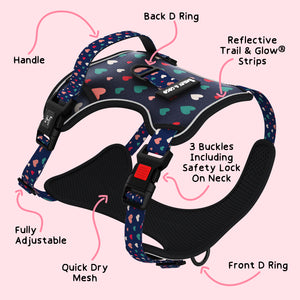 Trail & Glow® Dog Harness - All You Need Is Love - Original Design