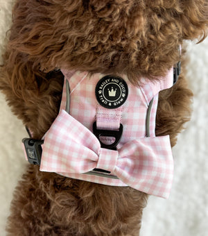 Trail & Glow® Dog Harness - Gingham Dreams