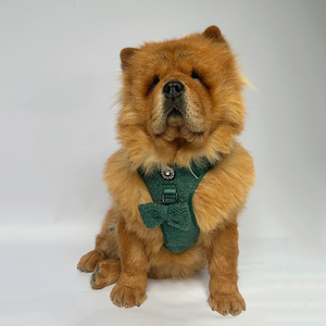 Bow Tie - Emerald Teddy.