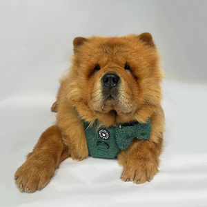 Bow Tie - Emerald Teddy.