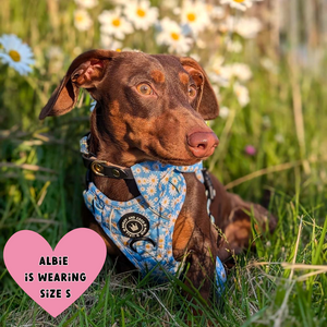 Trail & Glow® Harness Bundle Set - Loves me more