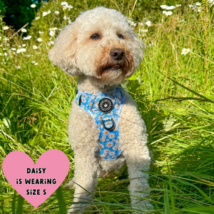 Trail & Glow® Harness – Loves me more