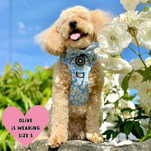 Trail & Glow® Harness – Loves me more