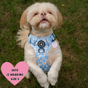 Trail & Glow® Harness – Loves me more