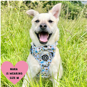 Trail & Glow® Dog Harness - Wanna-Bee II