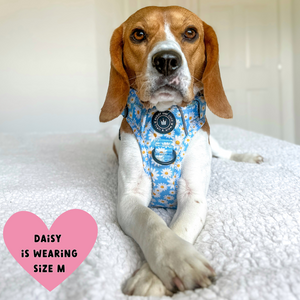 Trail & Glow® Harness Bundle Set - Loves me more