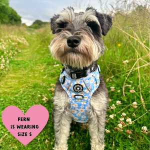 Trail & Glow® Harness – Loves me more