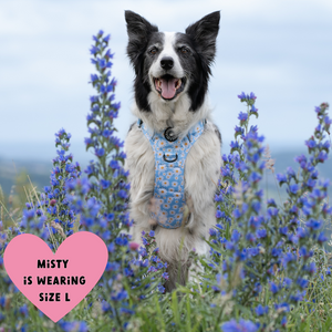 Trail & Glow® Harness – Loves me more