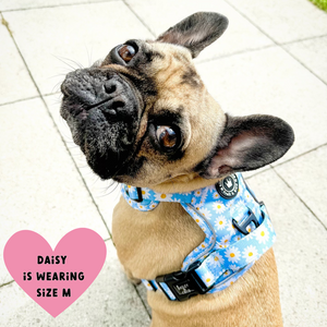 Trail & Glow® Harness – Loves me more