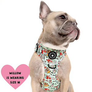 Trail & Glow® Dog Harness - Dog Party