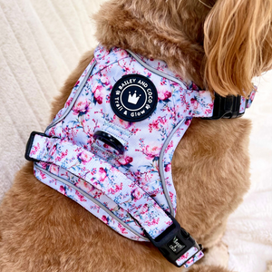 Trail & Glow® Dog Harness Bundle Set - Peony Blossom