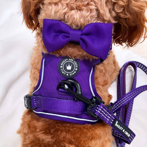 Trail & Glow® Dog Harness - The Royal Purple One.