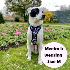 Trail & Glow® Harness Bundle Set - Loves Me, Loves Me Not Daisy.