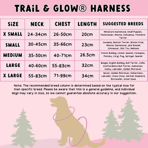 Trail & Glow® Dog Harness Bundle Set - Teddy Bear