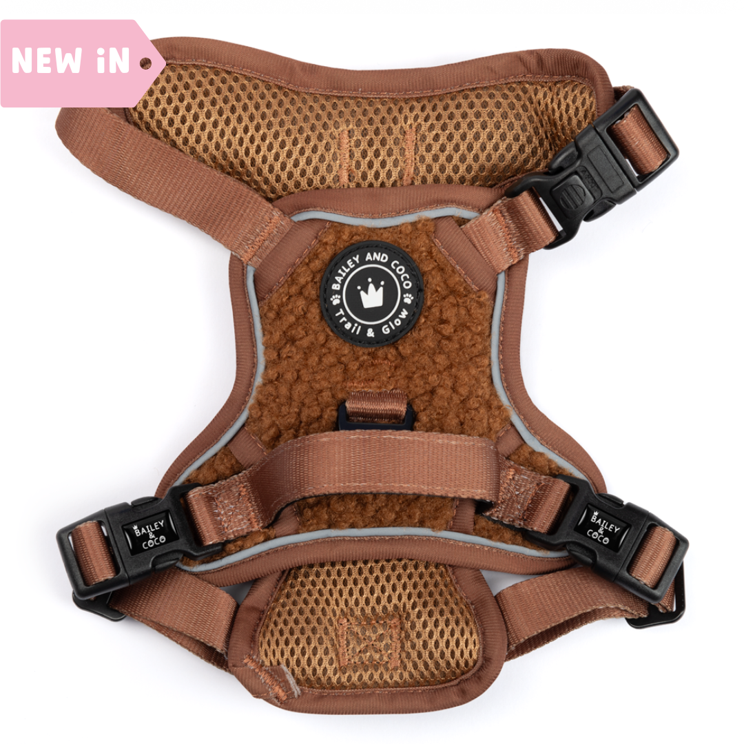 Trail & Glow® Dog Harness - Teddy Bear