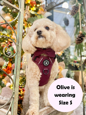 Trail & Glow® Dog Harness Bundle Set - Mulberry Tweed.