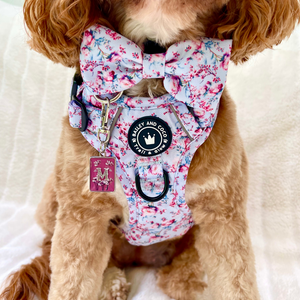 Trail & Glow® Dog Harness Bundle Set - Peony Blossom