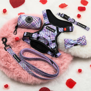 Trail & Glow® Dog Harness - Lilac Haze.