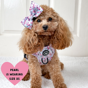 Trail & Glow® Dog Harness Bundle Set - Peony Blossom