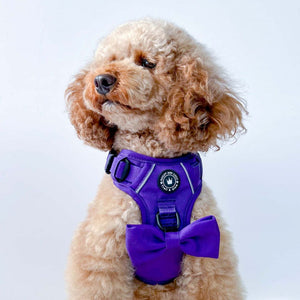 Bow Tie - The Royal Purple One.